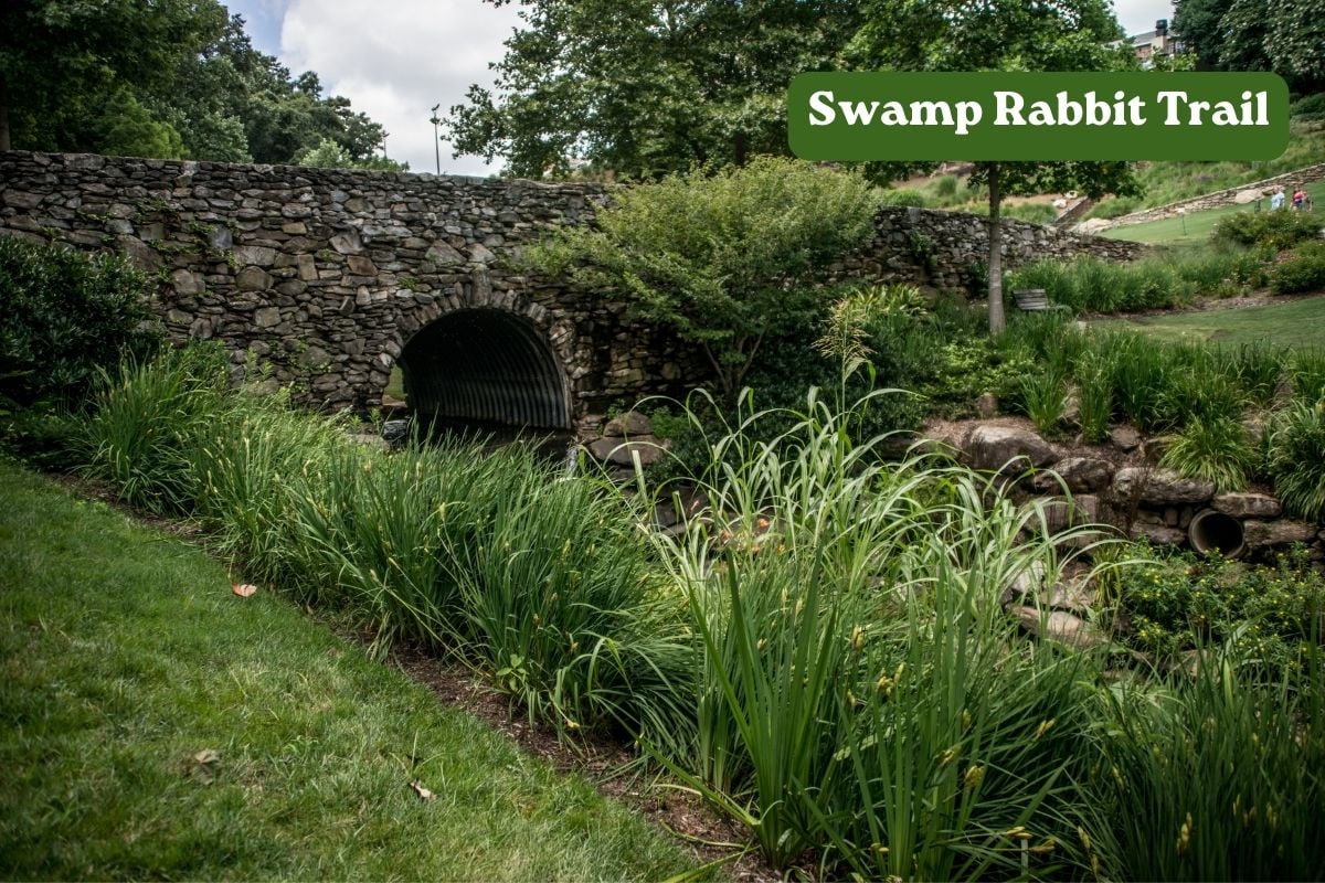 The Swamp Rabbit Trail in SC