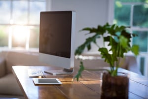 houseplant in a home office