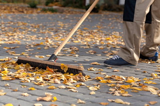 Fall Lawn Maintenance