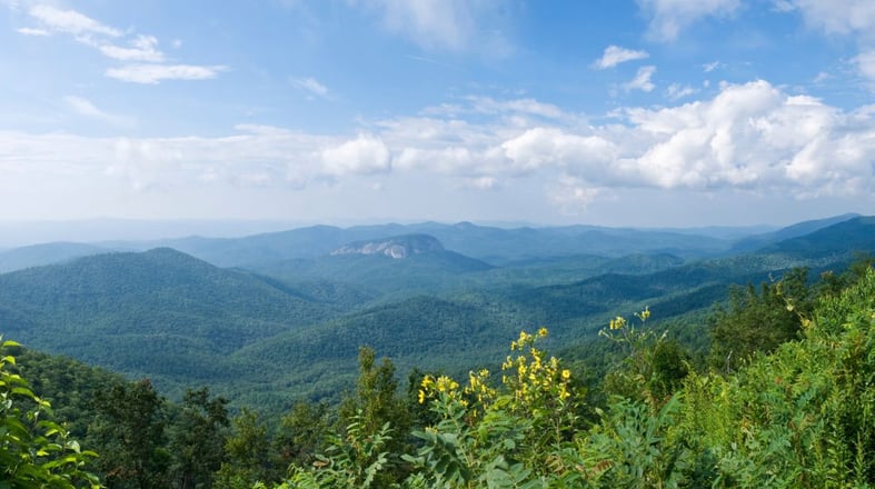 The Blue Ridge Mountain range in North Carolina with luscious greens in the springtime.