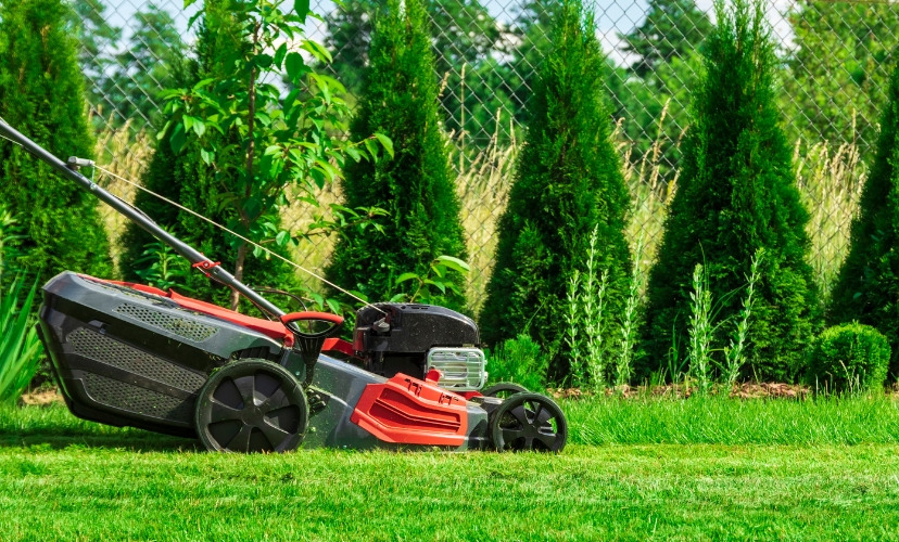 A bright red lawnmower sits on a bed of green grass in a lush backyard.